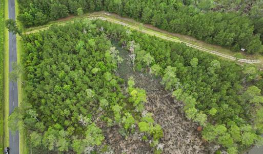 Photo #25 of Off Whealton Point Road, Aurora, NC 5.5 acres