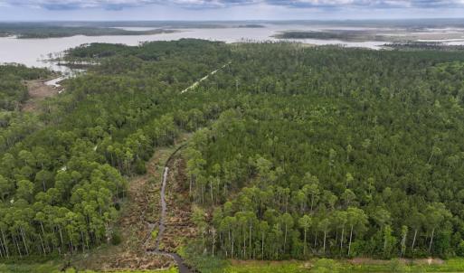 Photo #33 of Off Whealton Point Road, Aurora, NC 5.5 acres