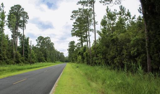 Photo #41 of Off Whealton Point Road, Aurora, NC 5.5 acres
