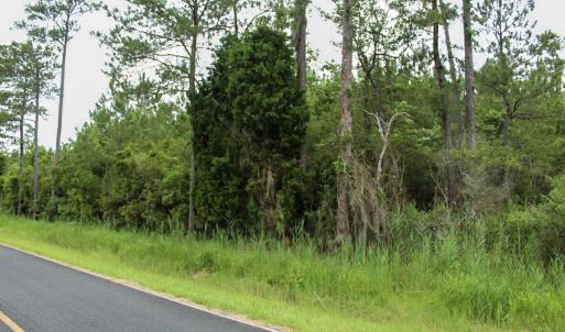 Photo #42 of Off Whealton Point Road, Aurora, NC 5.5 acres