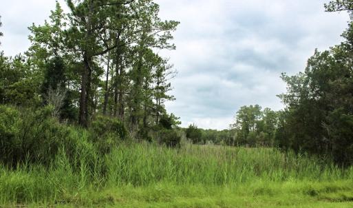 Photo #43 of Off Whealton Point Road, Aurora, NC 5.5 acres
