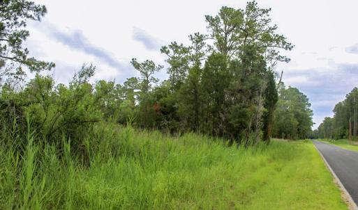 Photo #44 of Off Whealton Point Road, Aurora, NC 5.5 acres