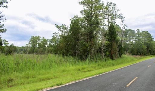 Photo #45 of Off Whealton Point Road, Aurora, NC 5.5 acres
