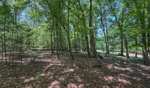 Photo #23 of Off Gordon Lane, Macon, NC 1.0 acres