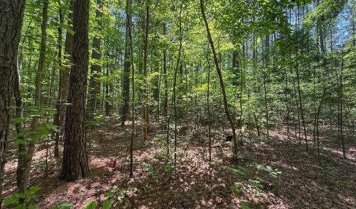 Photo #24 of Off Gordon Lane, Macon, NC 1.0 acres