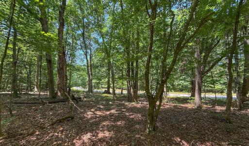 Photo #26 of Off Gordon Lane, Macon, NC 1.0 acres