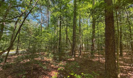 Photo #27 of Off Gordon Lane, Macon, NC 1.0 acres