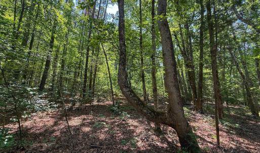 Photo #28 of Off Gordon Lane, Macon, NC 1.0 acres