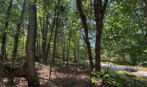 Photo #29 of Off Gordon Lane, Macon, NC 1.0 acres