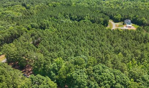 Photo #3 of Off Gordon Lane, Macon, NC 1.0 acres