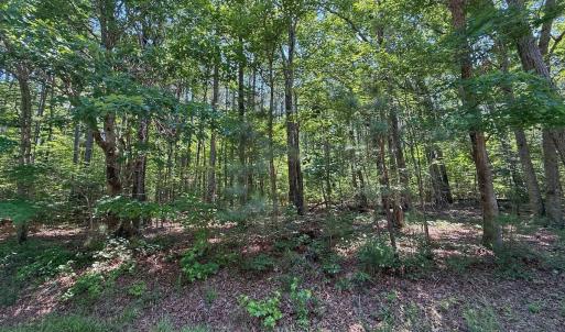 Photo #30 of Off Gordon Lane, Macon, NC 1.0 acres