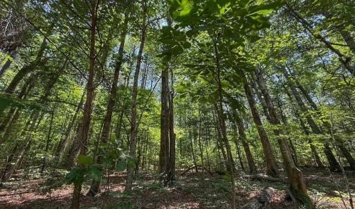 Photo #31 of Off Gordon Lane, Macon, NC 1.0 acres