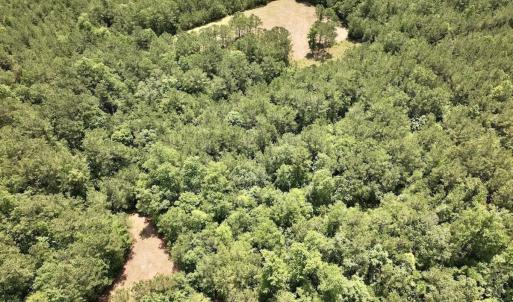 Photo #10 of Off Highway 306, Grantsboro, NC 704.0 acres