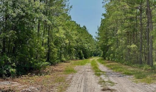 Photo #11 of Off Highway 306, Grantsboro, NC 704.0 acres