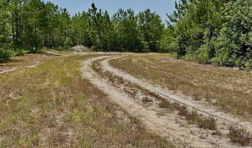 Photo #12 of Off Highway 306, Grantsboro, NC 704.0 acres