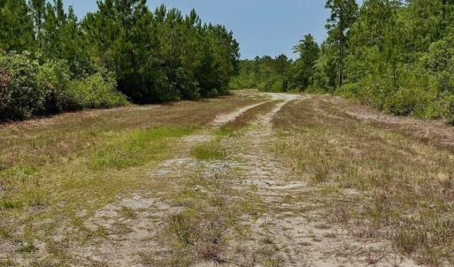 Photo #13 of Off Highway 306, Grantsboro, NC 704.0 acres