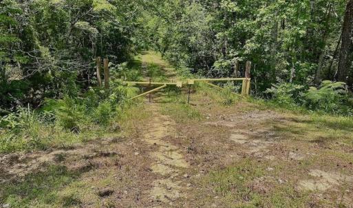 Photo #15 of Off Highway 306, Grantsboro, NC 704.0 acres