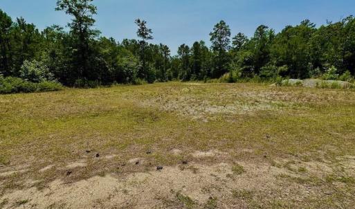 Photo #16 of Off Highway 306, Grantsboro, NC 704.0 acres
