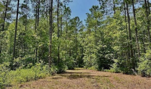 Photo #18 of Off Highway 306, Grantsboro, NC 704.0 acres