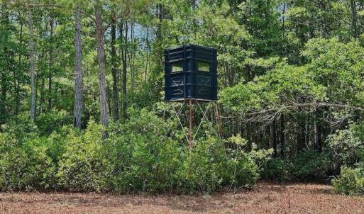 Photo #19 of Off Highway 306, Grantsboro, NC 704.0 acres