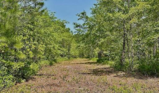 Photo #20 of Off Highway 306, Grantsboro, NC 704.0 acres