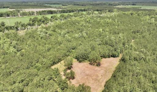 Photo #3 of Off Highway 306, Grantsboro, NC 704.0 acres