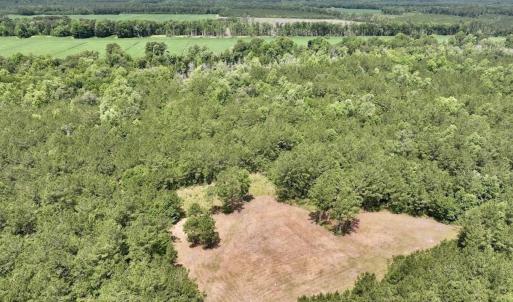 Photo #4 of Off Highway 306, Grantsboro, NC 704.0 acres