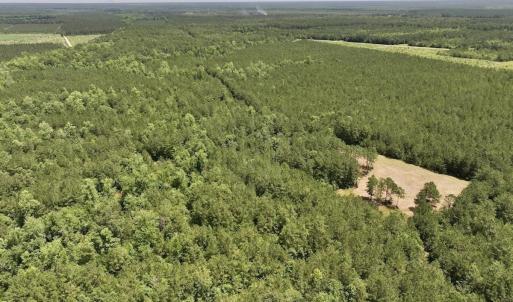 Photo #5 of Off Highway 306, Grantsboro, NC 704.0 acres
