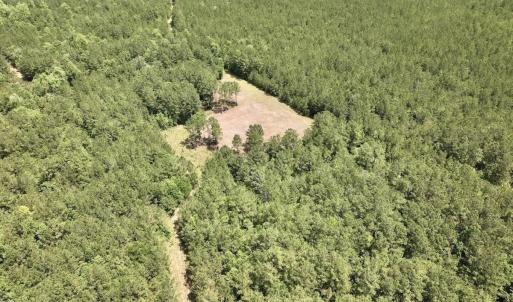 Photo #6 of Off Highway 306, Grantsboro, NC 704.0 acres