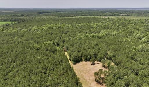 Photo #7 of Off Highway 306, Grantsboro, NC 704.0 acres