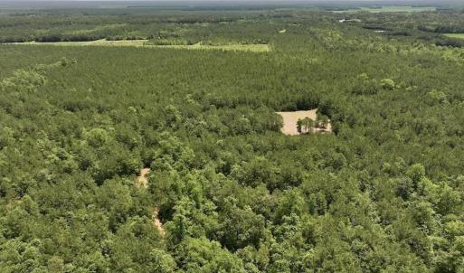 Photo #8 of Off Highway 306, Grantsboro, NC 704.0 acres
