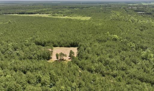 Photo #9 of Off Highway 306, Grantsboro, NC 704.0 acres