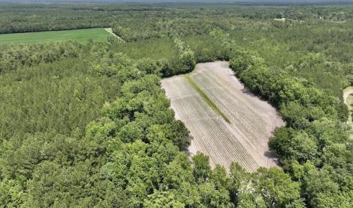 Photo #21 of Off Highway 306, Grantsboro, NC 704.0 acres
