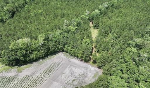 Photo #22 of Off Highway 306, Grantsboro, NC 704.0 acres