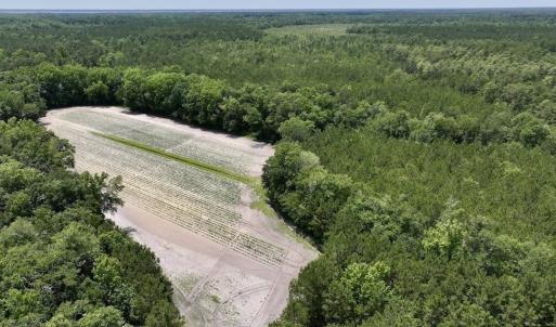 Photo #23 of Off Highway 306, Grantsboro, NC 704.0 acres