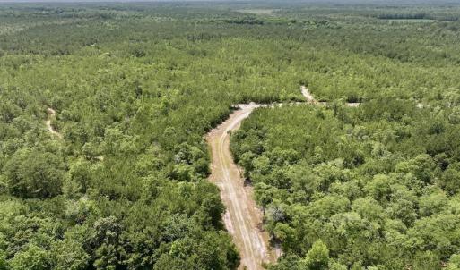 Photo #25 of Off Highway 306, Grantsboro, NC 704.0 acres
