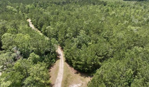 Photo #26 of Off Highway 306, Grantsboro, NC 704.0 acres