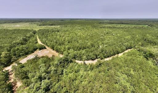 Photo #27 of Off Highway 306, Grantsboro, NC 704.0 acres