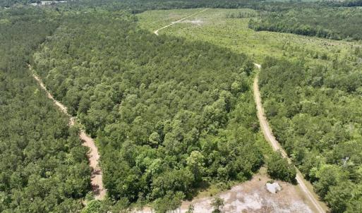 Photo #29 of Off Highway 306, Grantsboro, NC 704.0 acres