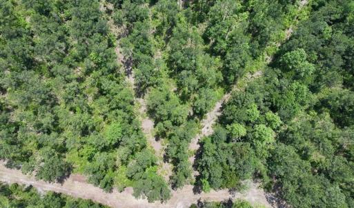 Photo #30 of Off Highway 306, Grantsboro, NC 704.0 acres