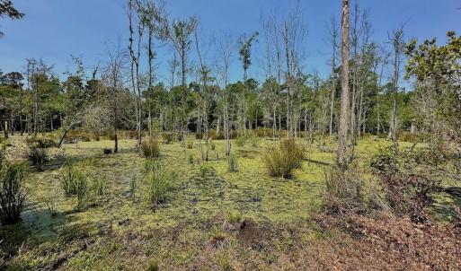 Photo #31 of Off Highway 306, Grantsboro, NC 704.0 acres