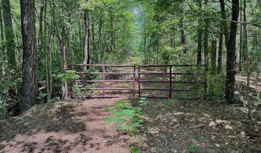Photo #32 of Off Highway 306, Grantsboro, NC 704.0 acres