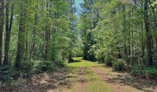Photo #33 of Off Highway 306, Grantsboro, NC 704.0 acres