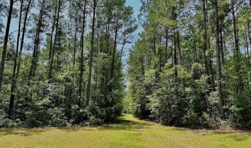 Photo #34 of Off Highway 306, Grantsboro, NC 704.0 acres