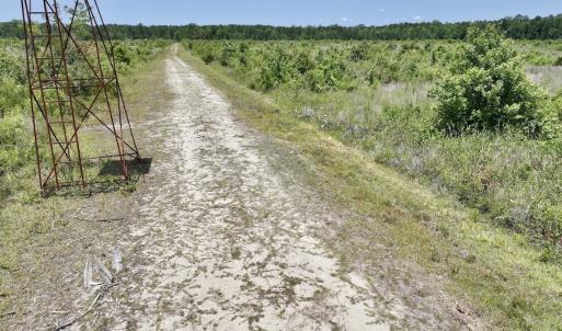Photo #35 of Off Highway 306, Grantsboro, NC 704.0 acres