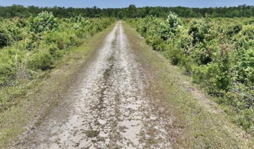 Photo #36 of Off Highway 306, Grantsboro, NC 704.0 acres