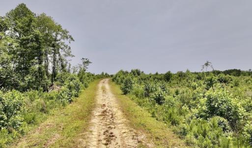 Photo #38 of Off Highway 306, Grantsboro, NC 704.0 acres