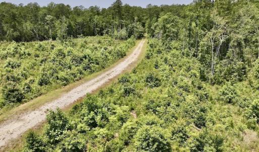 Photo #39 of Off Highway 306, Grantsboro, NC 704.0 acres