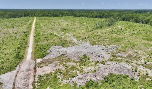 Photo #40 of Off Highway 306, Grantsboro, NC 704.0 acres