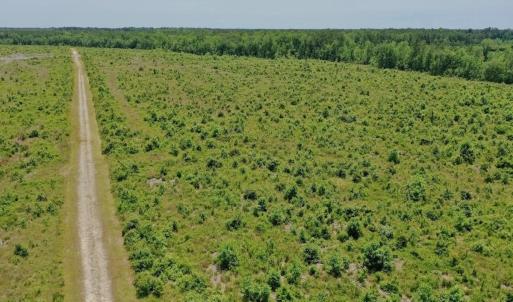 Photo #41 of Off Highway 306, Grantsboro, NC 704.0 acres